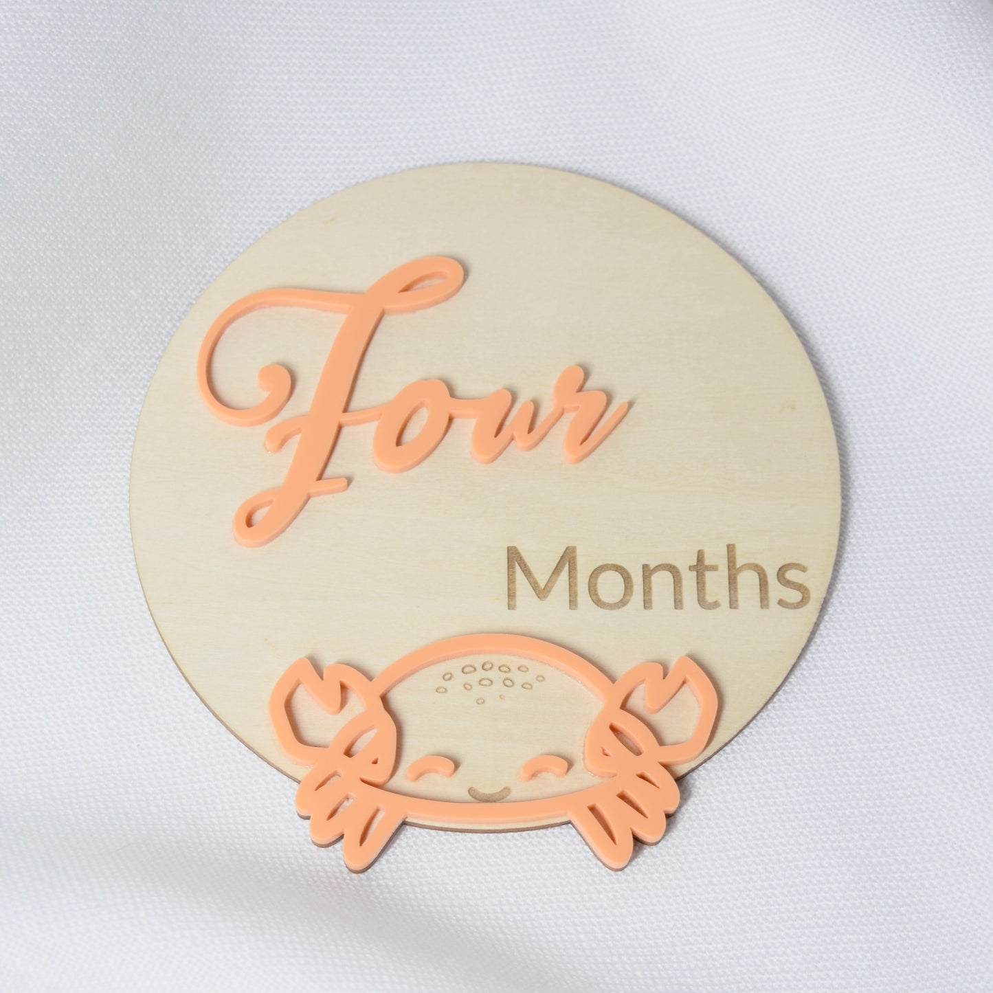 Monthly Milestone Markers ~ Ocean Theme