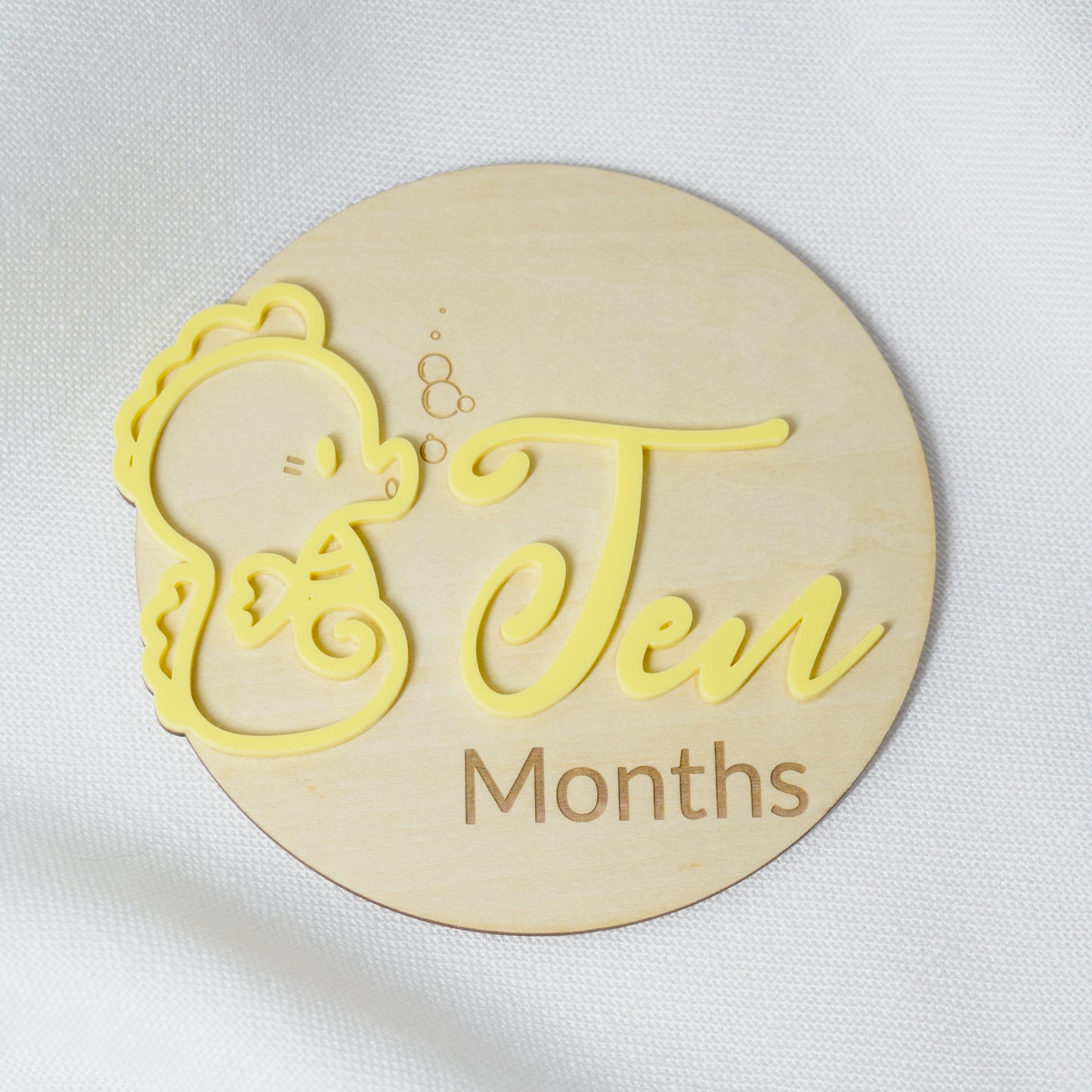 Monthly Milestone Markers ~ Ocean Theme