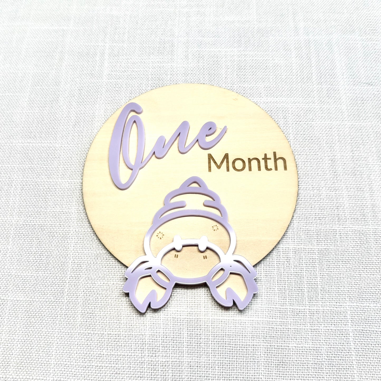 Monthly Milestone Markers ~ Ocean Theme
