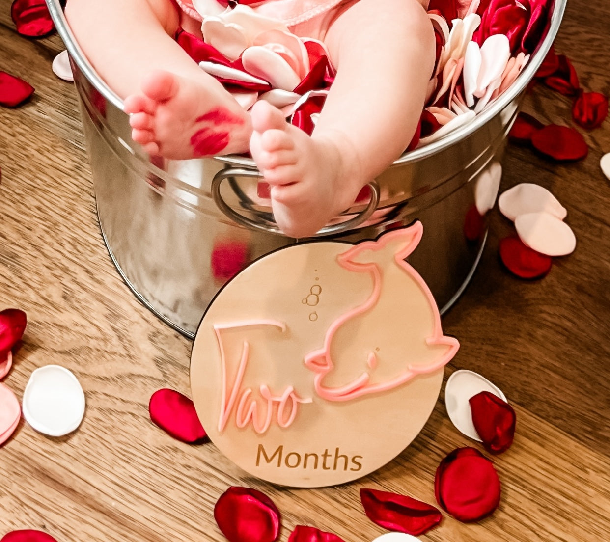 Monthly Milestone Markers ~ Ocean Theme