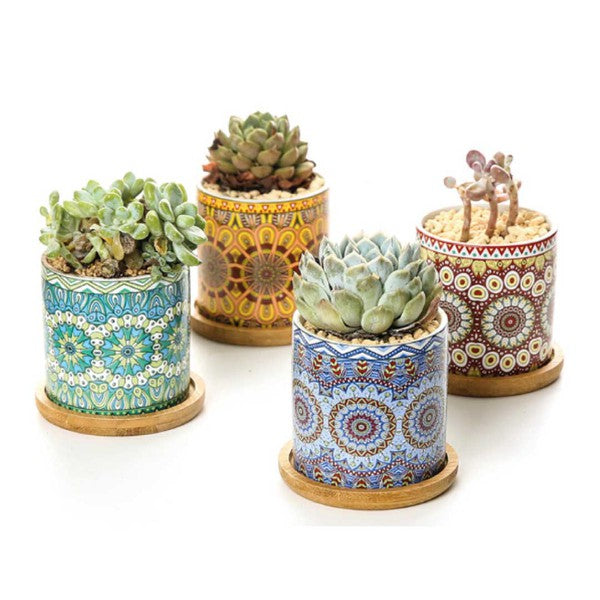 Mandala Planter Set