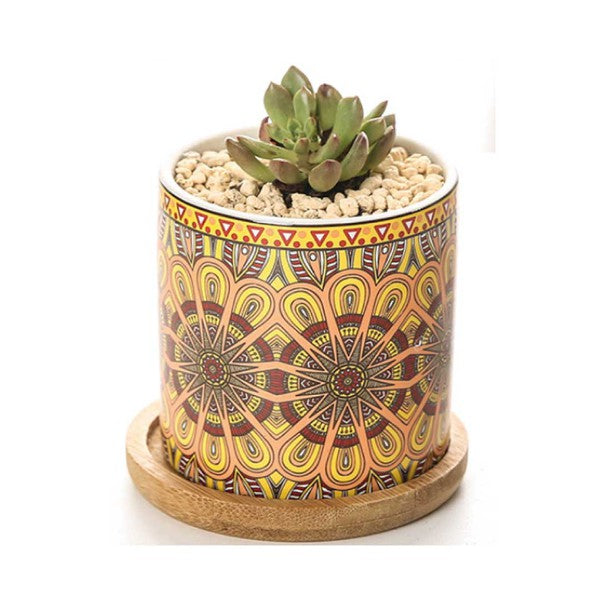 Mandala Planter Set