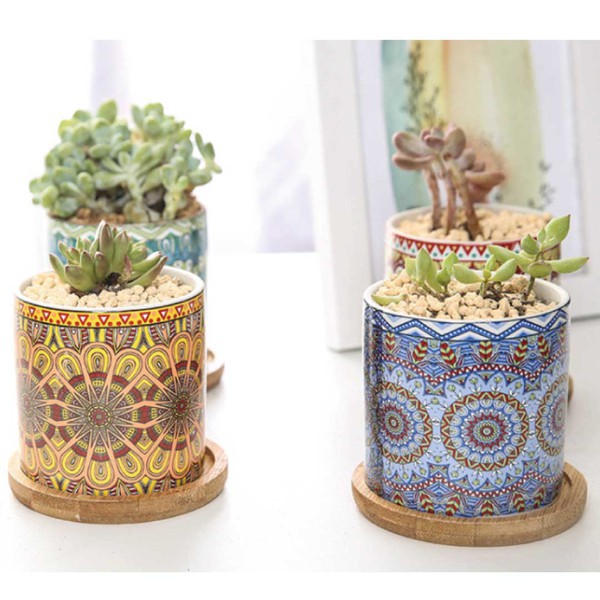 Mandala Planter Set