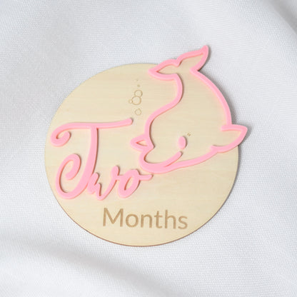 Monthly Milestone Markers ~ Ocean Theme