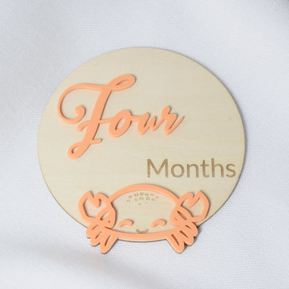 Monthly Milestone Markers ~ Ocean Theme