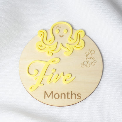 Monthly Milestone Markers ~ Ocean Theme