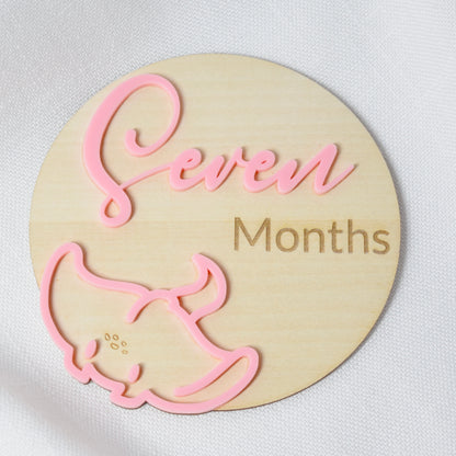 Monthly Milestone Markers ~ Ocean Theme