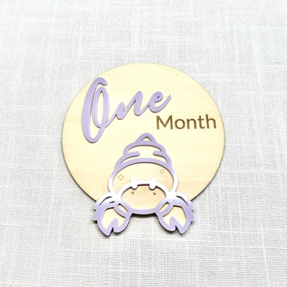 Monthly Milestone Markers ~ Ocean Theme